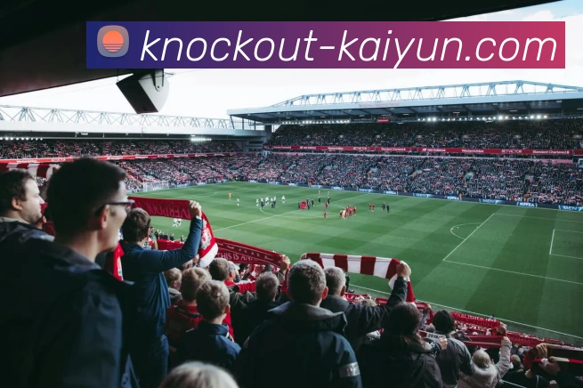 开云官网服务体系